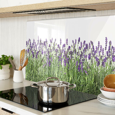 Szklana deska kuchenna Lawendowe pole w słońcu