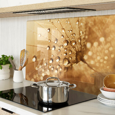 Szklana deska kuchenna Krople wody na dandelionie