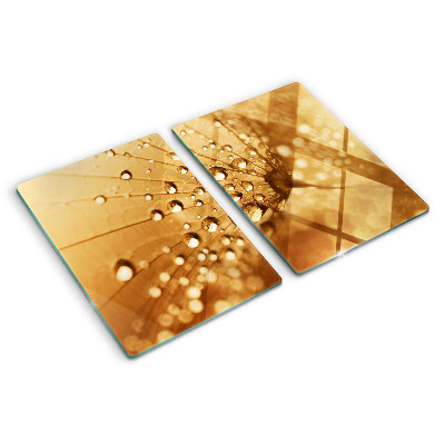 Szklana deska kuchenna Krople wody na dandelionie