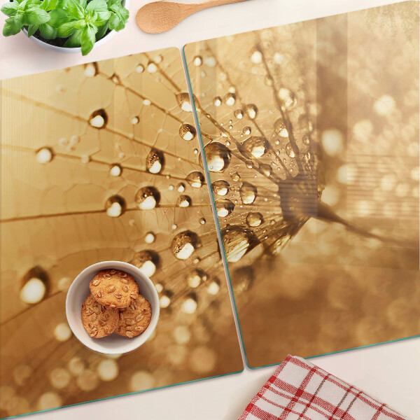 Szklana deska kuchenna Krople wody na dandelionie