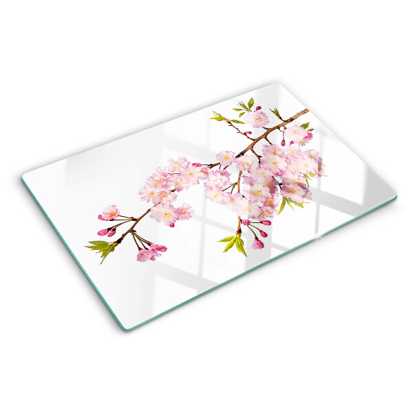 Szklana deska kuchenna Kwiat wiśni wiosenny
