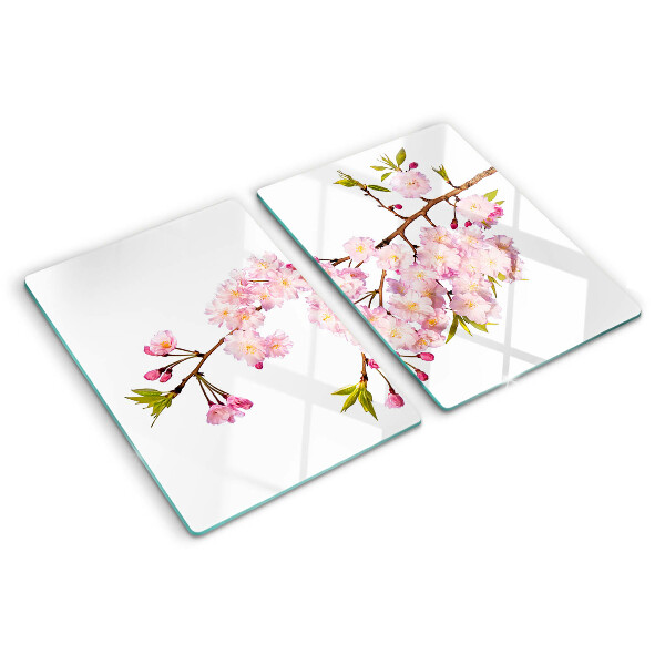 Szklana deska kuchenna Kwiat wiśni wiosenny