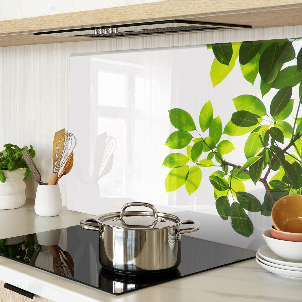 Snijplanken glas Bladeren tegen een heldere hemel