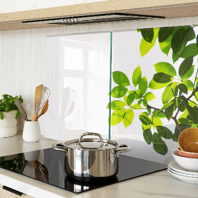 Szklana deska do krojenia Liście na tle jasnego nieba