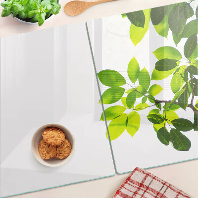 Snijplanken glas Bladeren tegen een heldere hemel