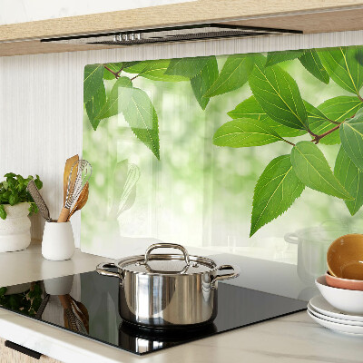 Szklana deska kuchenna Liście na tle rozmytej zieleni