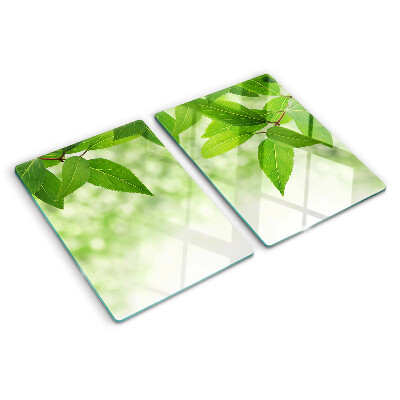 Szklana deska kuchenna Liście na tle rozmytej zieleni