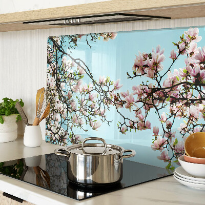 Deska kuchenna szklana Kwiaty magnolii na niebieskim tle