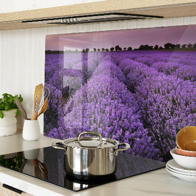 Snijplanken van glas Een lavendelveld in volle bloei.