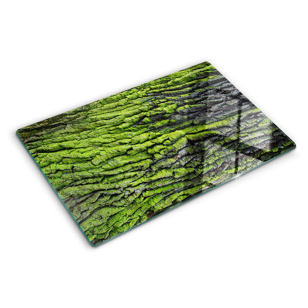 Szklana deska kuchenna Zielona kora drzewa