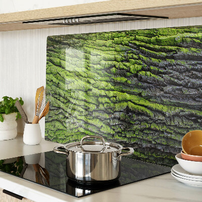 Szklana deska kuchenna Zielona kora drzewa