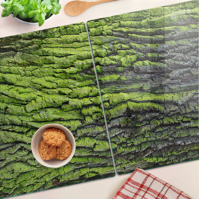 Szklana deska kuchenna Zielona kora drzewa