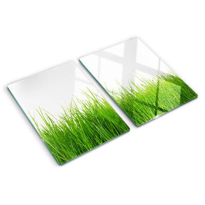 Szklana deska kuchenna Trawa w słońcu