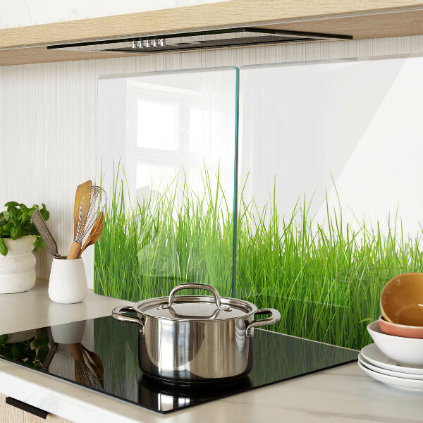 Szklana deska kuchenna Trawa w słońcu
