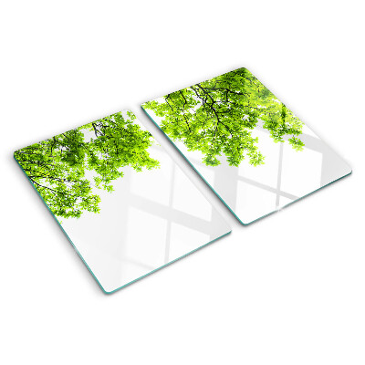 Szklana deska kuchenna Zielone liście na tle nieba