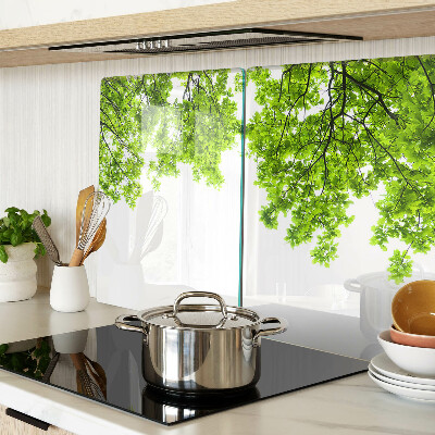 Szklana deska kuchenna Zielone liście na tle nieba