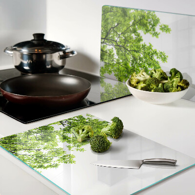 Szklana deska kuchenna Zielone liście na tle nieba