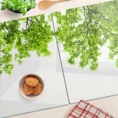 Szklana deska kuchenna Zielone liście na tle nieba