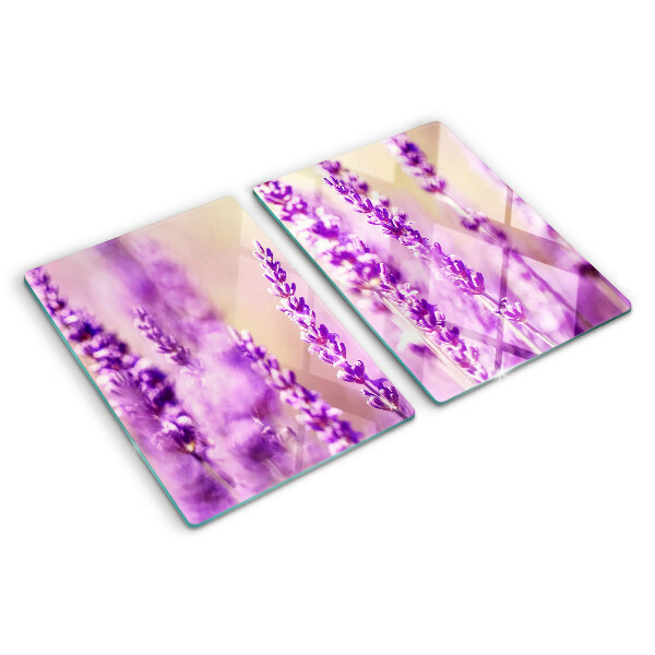 Glazen snijplanken Lavendelbloemen op een achtergrond met kleurverloop