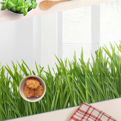 Snijplanken van glas Groen gras