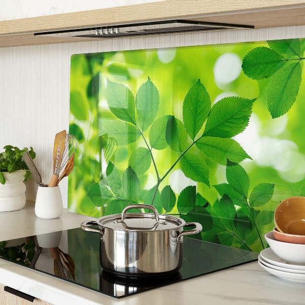 Snijplanken glas Bladeren op een groene achtergrond