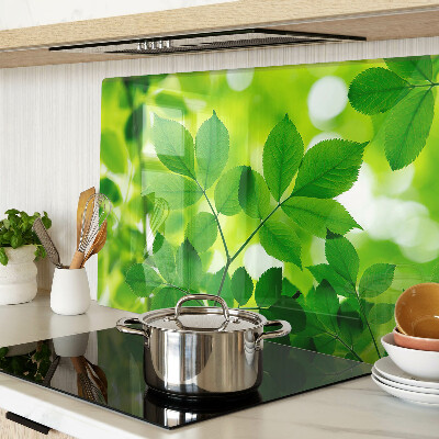 Deska kuchenna szklana Liście na zielonym tle