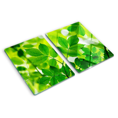Deska kuchenna szklana Liście na zielonym tle