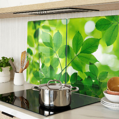 Deska kuchenna szklana Liście na zielonym tle