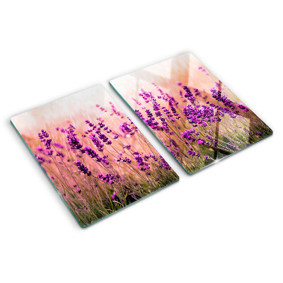 Szklana deska kuchenna Lawendowe pole w promieniach słońca