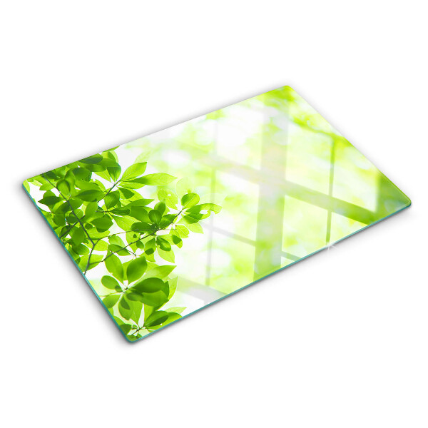 Szklana deska do krojenia Zielone liście w świetle