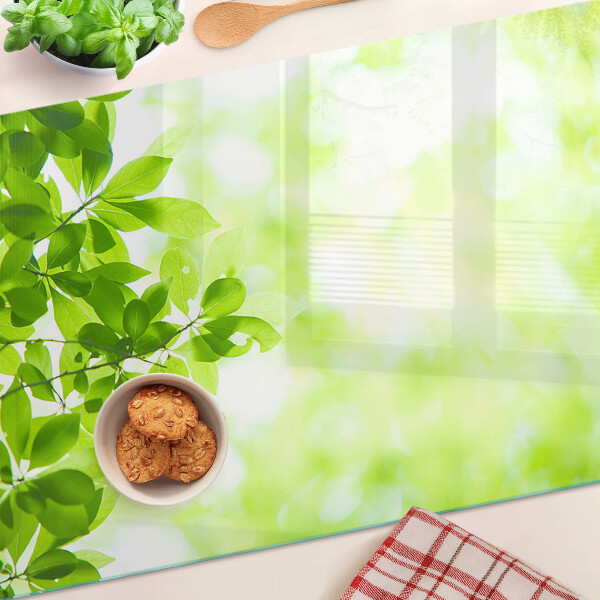 Snijplanken van glas Groene bladeren in het licht