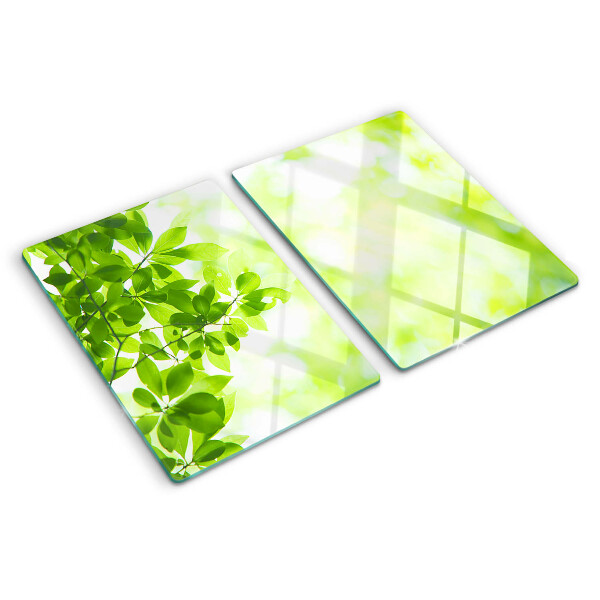 Snijplanken van glas Groene bladeren in het licht