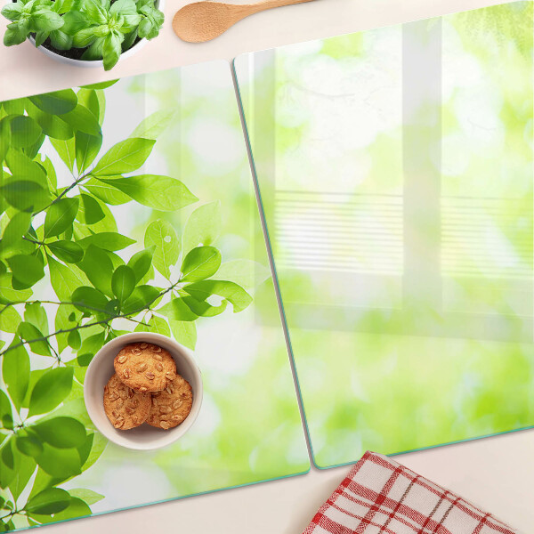 Szklana deska do krojenia Zielone liście w świetle