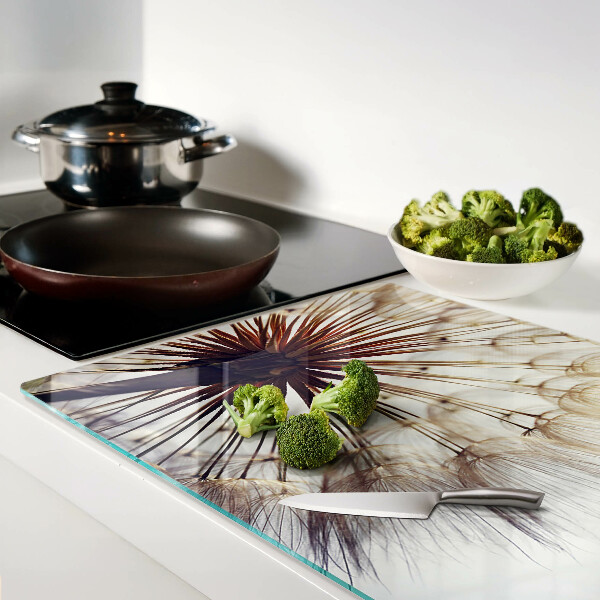 Szklana deska kuchenna Dmuchawce w świetle