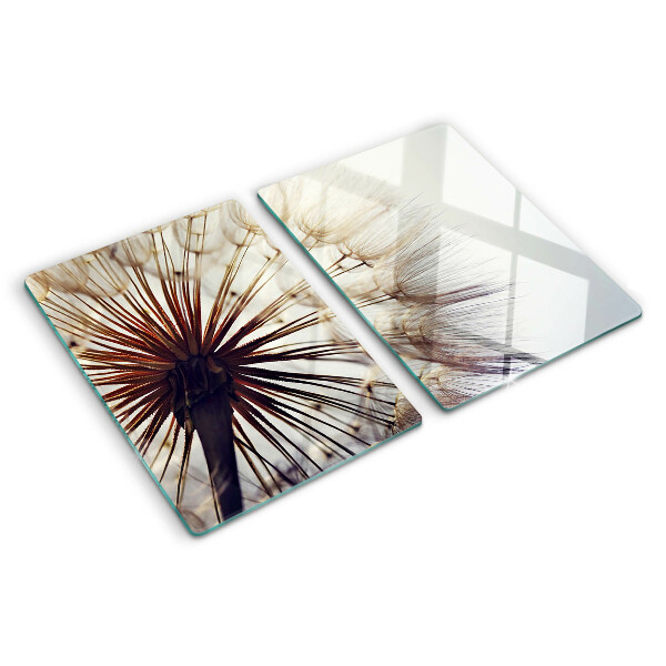 Szklana deska kuchenna Dmuchawce w świetle