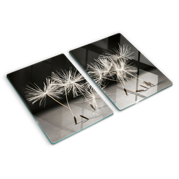 Snijplanken van glas Pluizige paardenbloemen op een monochrome achtergrond.