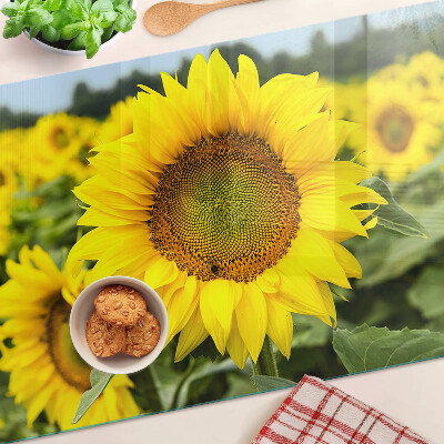 Glazen snijplanken Zonnebloemen tegen een achtergrond van groen