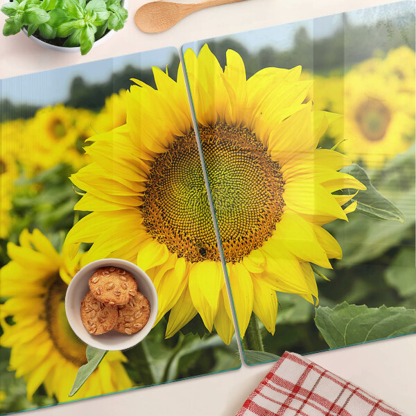 Deska kuchenna szklana Słoneczniki na tle zieleni