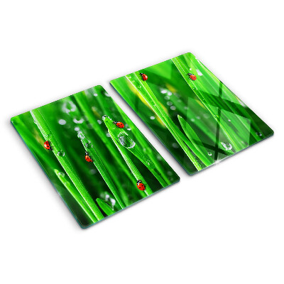 Szklana deska do krojenia Krople wody na trawie z biedronkami