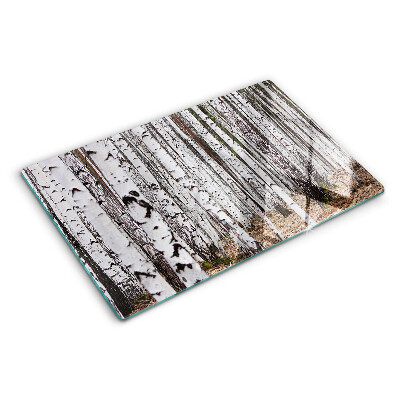 Szklana deska do krojenia Białe pnie drzew birchowych