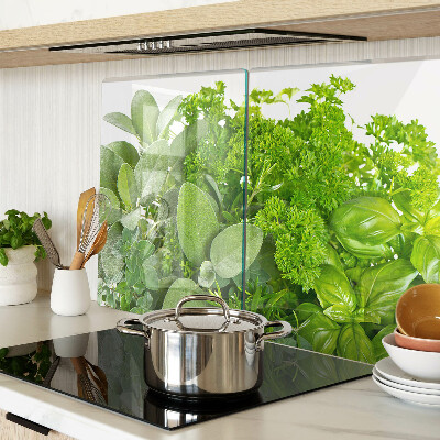 Snijplanken van glas Groene kruiden en bladeren