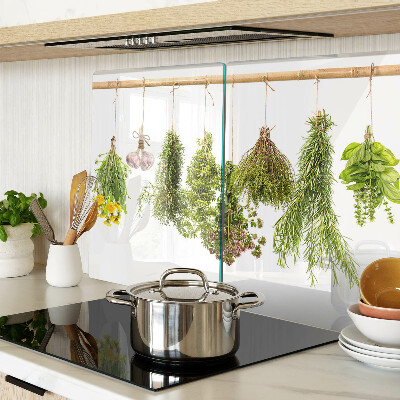 Szklana deska kuchenna Zioła w wiszących pęczkach