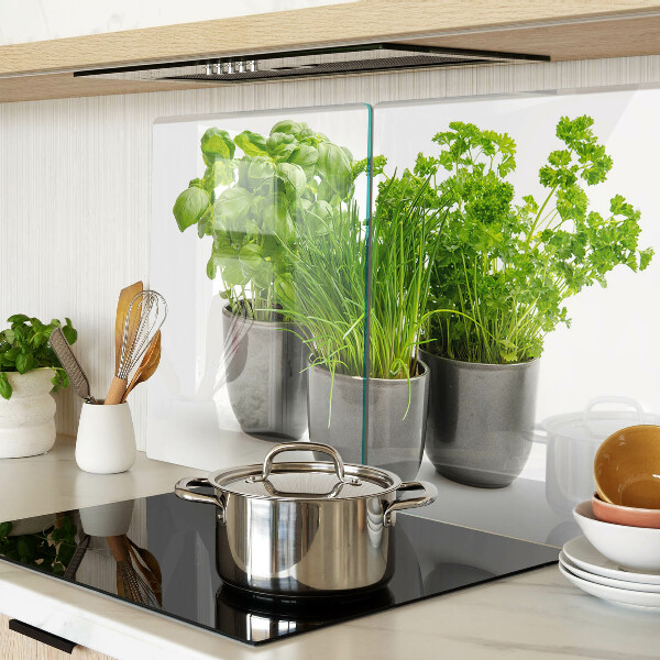 Szklana deska kuchenna Zioła w doniczkach