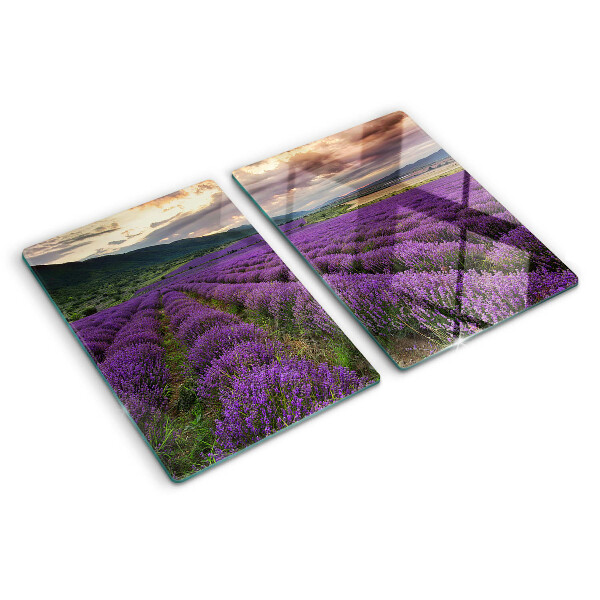 Snijplanken van glas Lavendelveld bij zonsondergang