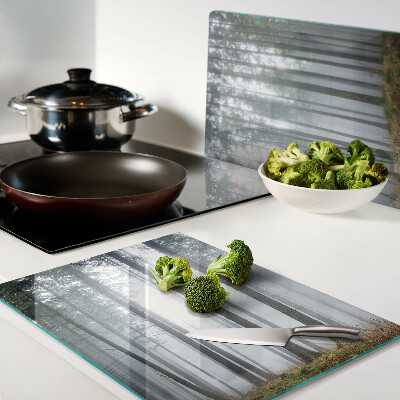 Szklana deska kuchenna Mglisty las