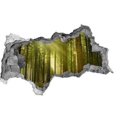 Wandsticker 3D doorkijk Groen bos in de ochtend