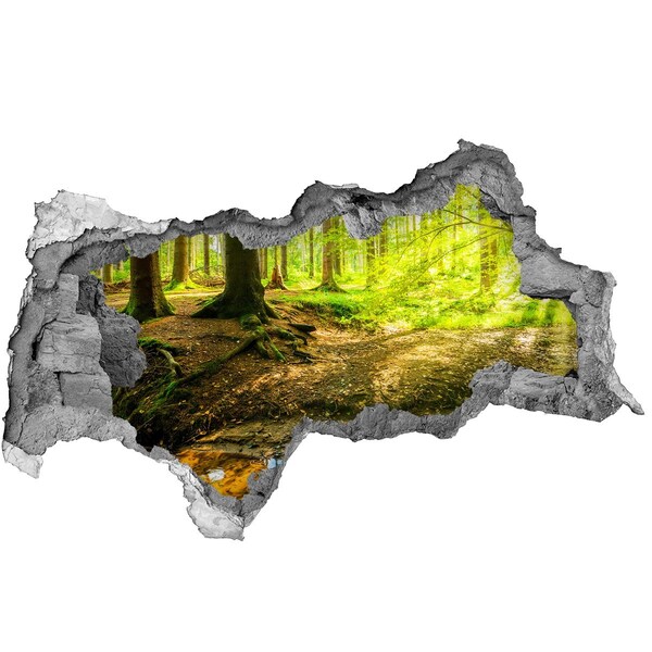 3D sticker gat in stenen muur Groen bos met een beekje
