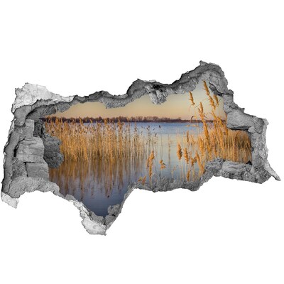 Wandsticker 3D doorkijk Baai met riet