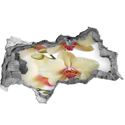 3D sticker gat in stenen muur Orchideeën in een kapotte muur