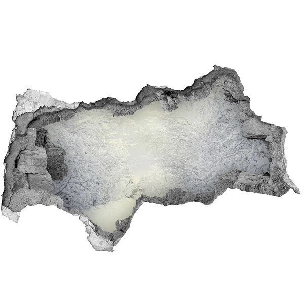 Wandsticker 3D doorkijk Winterlandschap achter de muur